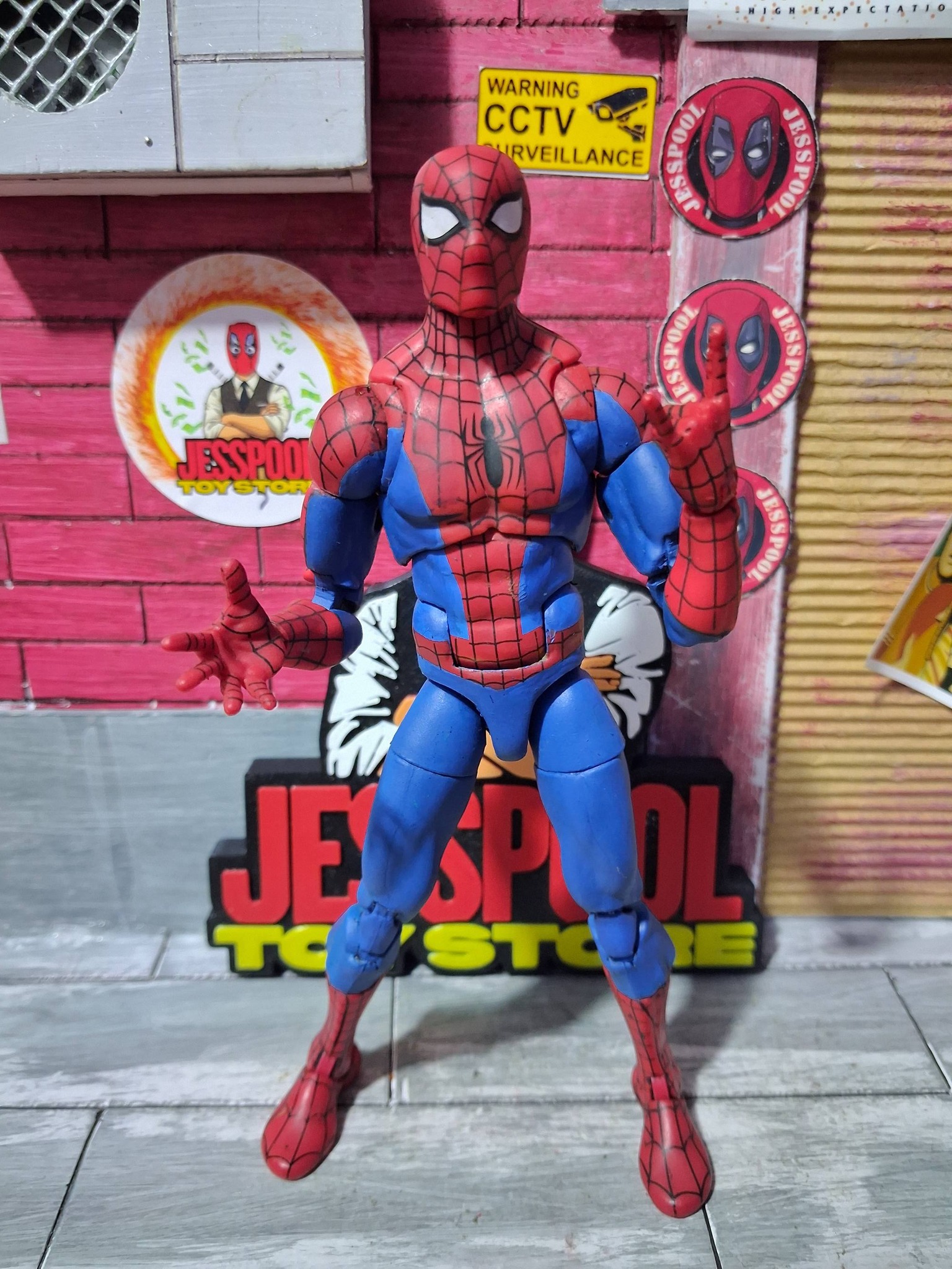 SPIDER-MAN CUSTOM